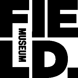 Logo field